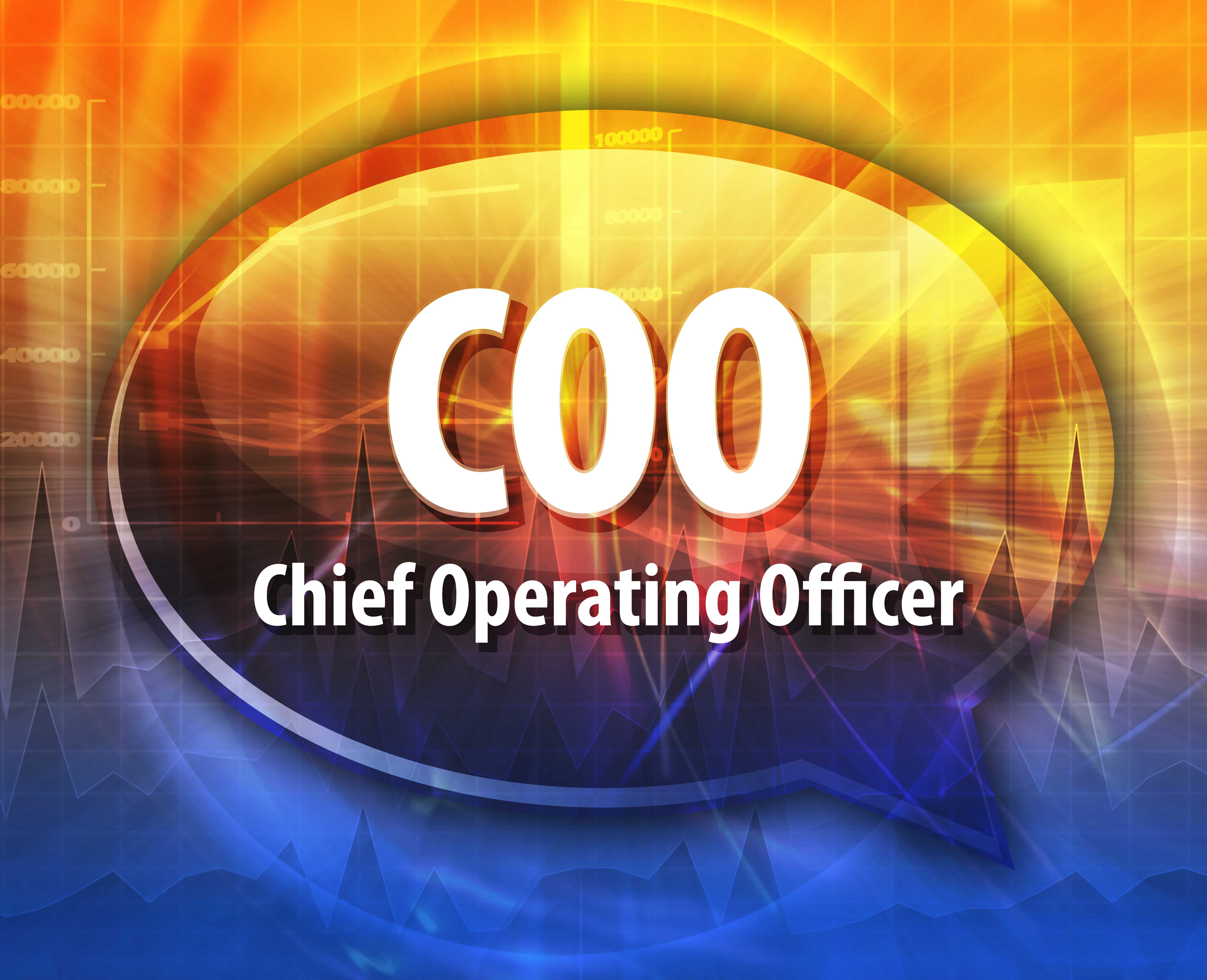 More than the traditional role of execution the COO can lead AI transformation with data strategy & implementation, company learning culture, per Wull.com