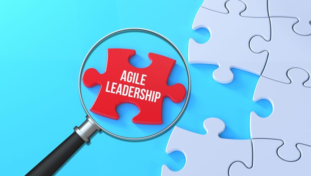 Agile leadership starts from leaders creating conditions for innovative changes, self-governing teams, adaptive C-suites, & agile organizations, per wull.com